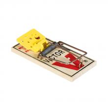 Woodstream WOOM035 - Mouse Trap, Ezset with Prebaited Cheese 2/Pk